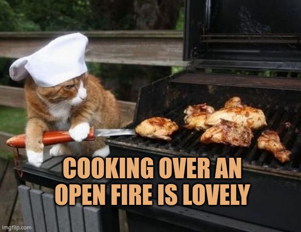 Cooking over an open fire is lovely | Cooking over an open fire is lovely | image tagged in bbq cat,autism,cooking,bbq,fire | made w/ Imgflip meme maker