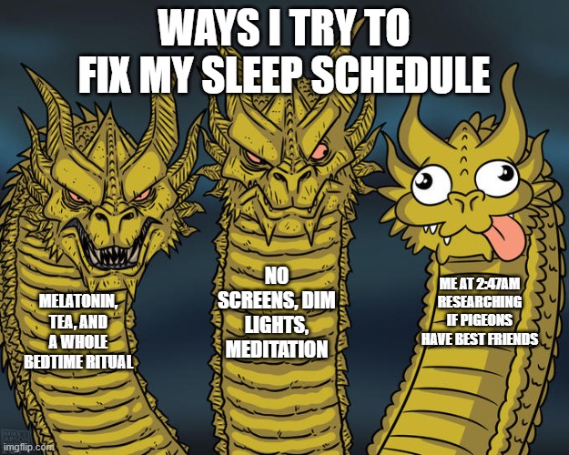 Three-headed Dragon | WAYS I TRY TO FIX MY SLEEP SCHEDULE; NO SCREENS, DIM LIGHTS, MEDITATION; ME AT 2:47AM RESEARCHING IF PIGEONS HAVE BEST FRIENDS; MELATONIN, TEA, AND A WHOLE BEDTIME RITUAL | image tagged in three-headed dragon | made w/ Imgflip meme maker