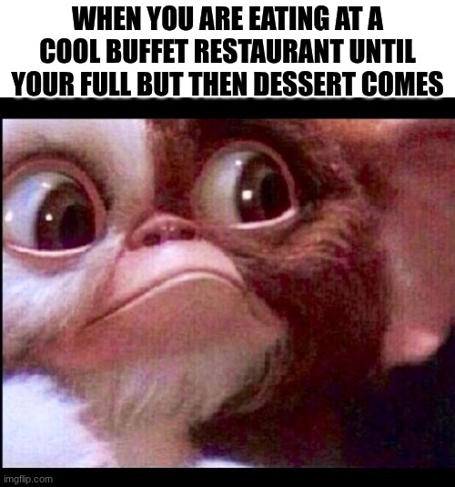 OH MY GOD | when you are eating at a cool buffet restaurant until your full but then dessert comes | image tagged in gizmo,full,buffet,dessert,shocked,oh no | made w/ Imgflip meme maker