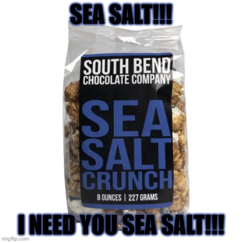 SEA SALT!!! | SEA SALT!!! I NEED YOU SEA SALT!!! | image tagged in image_2026-04-28_172802367 png | made w/ Imgflip meme maker