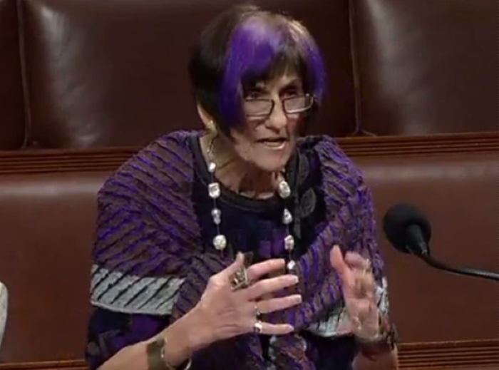 High Quality Rep. Rosa DeLauro Blank Meme Template