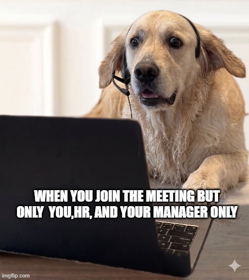 when you join the meeting but only  you,hr, and your manager only | image tagged in gemini_generated_image_3jhtu63jhtu63jht png | made w/ Imgflip meme maker