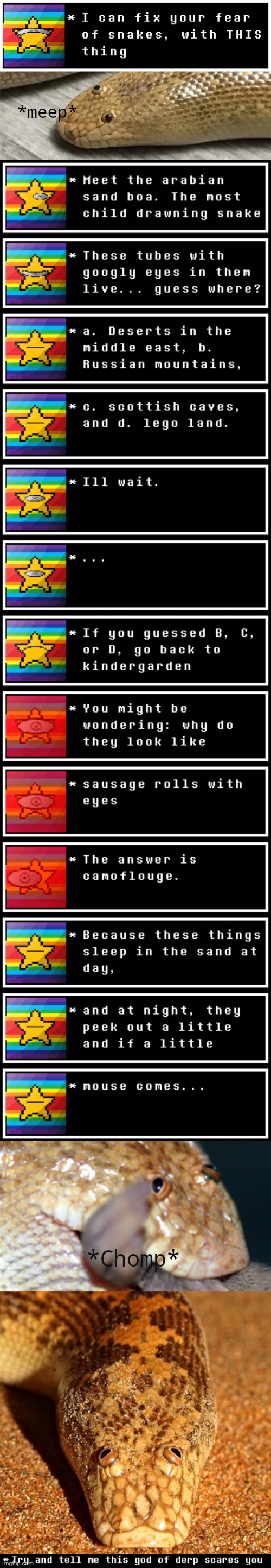 check description for more information cuz text box gen broke | *meep*; *Chomp*; these snakes have ZERO venom. They are legal in 99.5% countries (Sorry people in india), some not needing permits, some needing some documentation. They can not choke you, and it's bite is the equivalent of my cremated 120 year old grandma biting you without her dentures. COCONUTS kill more in a year then they have for the 300,000 years humans have existed. A literal fruit can kill more than a snake desgined to eat prey whole. | image tagged in bxnjx | made w/ Imgflip meme maker