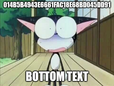 idk anymore | 014b5b4943e6661fac18e68bd045dd91; bottom text | image tagged in cyborg kuro chan,idk | made w/ Imgflip meme maker