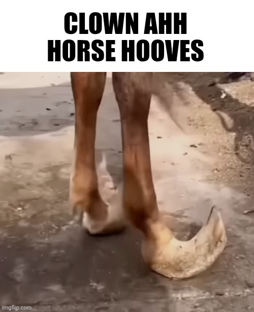 Clown ahh horse hooves | made w/ Imgflip meme maker
