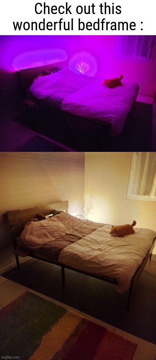 I did it all by myself, super proud | Check out this wonderful bedframe : | made w/ Imgflip meme maker