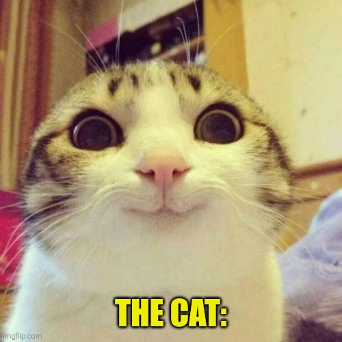 Smiling Cat Meme | the cat: | image tagged in memes,smiling cat | made w/ Imgflip meme maker