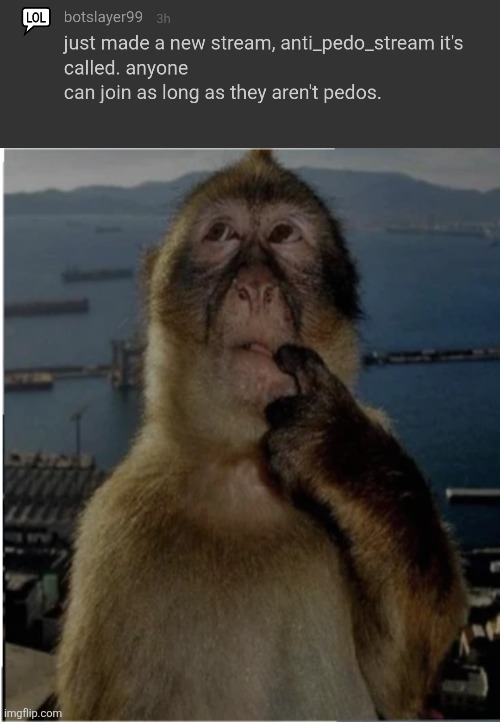 Do I join | image tagged in thinking monkey | made w/ Imgflip meme maker