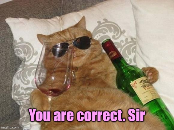 Funny Cat Birthday | You are correct. Sir | image tagged in funny cat birthday | made w/ Imgflip meme maker
