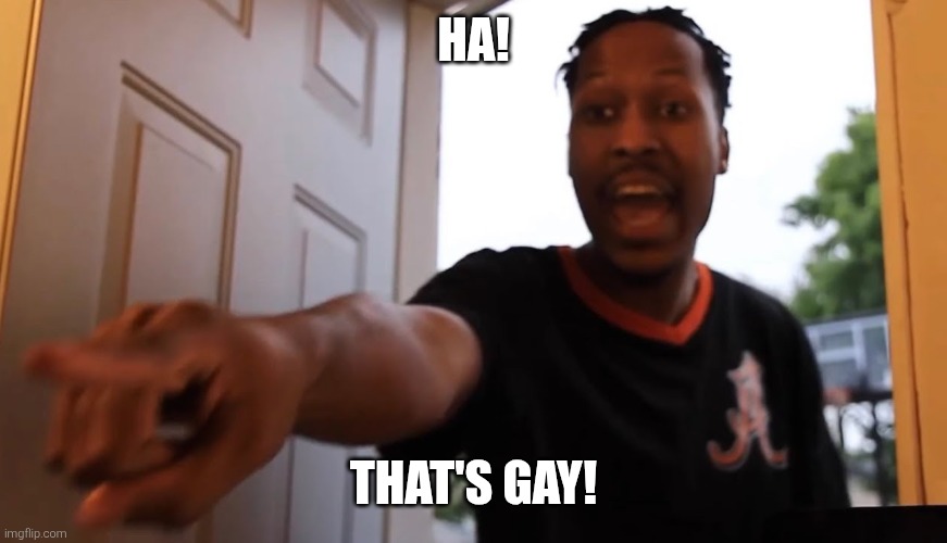 You're Gay | ha! that's gay! | image tagged in you're gay | made w/ Imgflip meme maker