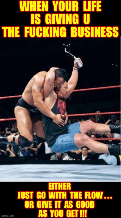 CLICHE . . . But , It Definitely Sounds Like A Freaking Plan !!!  : ) | When  your  life
Is  giving  u
The  fucking  business; Either 
      Just  Go  with  the  flow . . .
Or  give  it  as  good 
   As  yoU  get !!! | image tagged in stone cold stunner,real life,kickass,badass | made w/ Imgflip meme maker