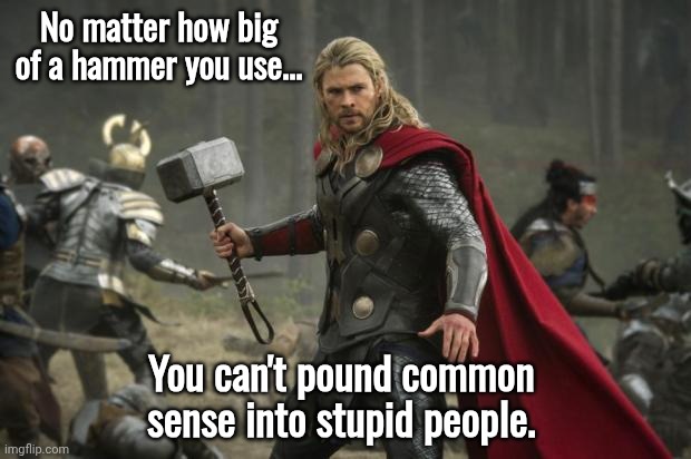 No matter how big of a hammer | No matter how big of a hammer you use... You can't pound common sense into stupid people. | image tagged in thor hammer,stupid people | made w/ Imgflip meme maker