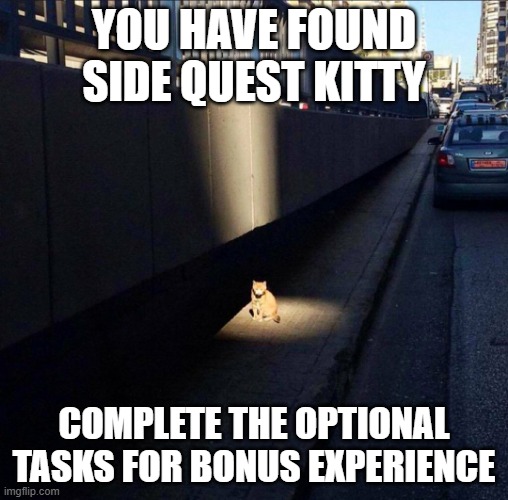 Side Quest Kitty | you have found side quest kitty; complete the optional tasks for bonus experience | image tagged in side quest cat | made w/ Imgflip meme maker