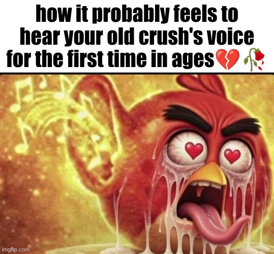 angry bird with ear open freaky | how it probably feels to hear your old crush's voice for the first time in ages💔🥀 | image tagged in angry bird with ear open freaky | made w/ Imgflip meme maker