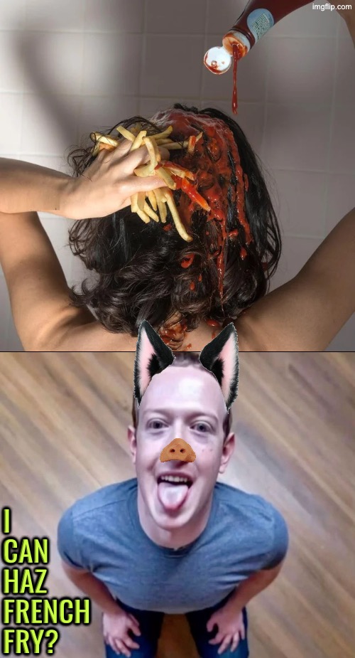 I Can Haz French Fry | I can haz french fry? | image tagged in cursed images,french fries,mark zuckerberg,dogs,unsee juice,drink bleach | made w/ Imgflip meme maker