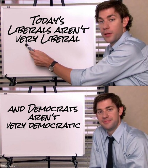 Can't tell the lunatics without a scorecard | Today's Liberals aren't very Liberal; and Democrats aren't very democratic | image tagged in jim halpert explains,peaceful,well yes but actually no,fiery but mostly peaceful,trump derangement syndrome | made w/ Imgflip meme maker