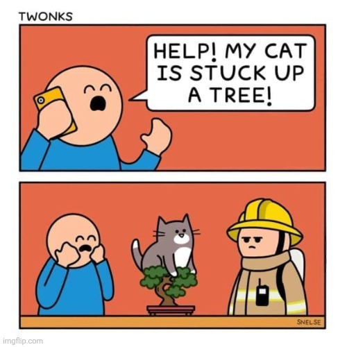 Tree | image tagged in trees,tree,cat,stuck,comics,comics/cartoons | made w/ Imgflip meme maker