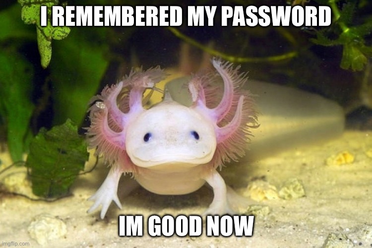 Hai guys <:D | I remembered my password; Im good now | image tagged in axolotl | made w/ Imgflip meme maker