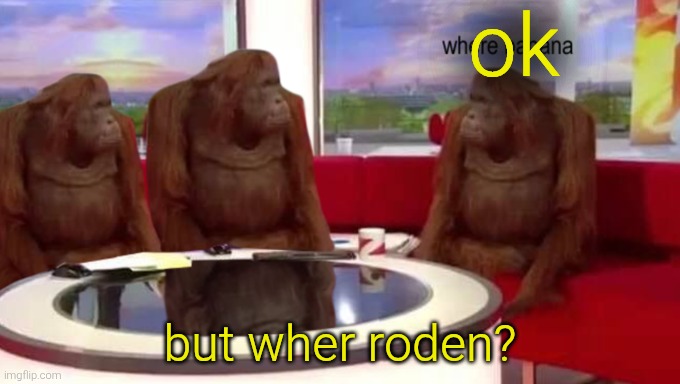 where banana | ok but wher roden? | image tagged in where banana | made w/ Imgflip meme maker