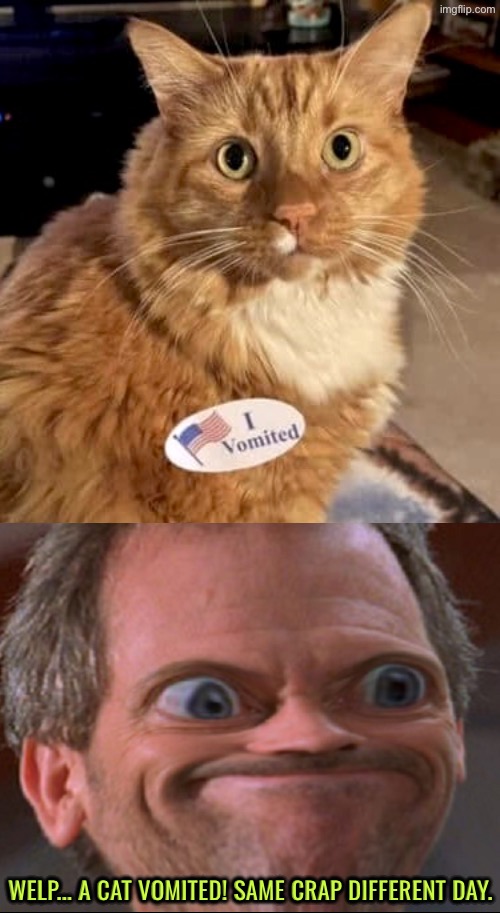 Same Crap Different Day | Welp... A cat vomited! Same crap different day. | image tagged in cats,funny cats,vomit,same crap different day,reactions,welp | made w/ Imgflip meme maker