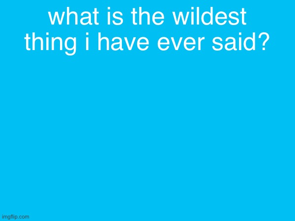 what is the wildest thing i have ever said? | made w/ Imgflip meme maker