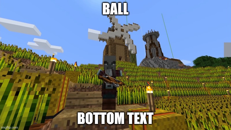 Pillager | Ball; Bottom text | image tagged in pillager | made w/ Imgflip meme maker