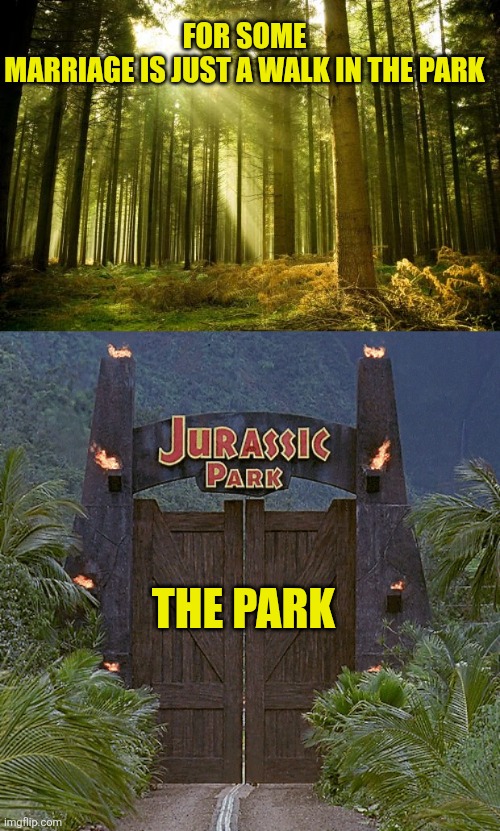 For some
Marriage is just a walk in the park; The park | image tagged in sunlit forest | made w/ Imgflip meme maker