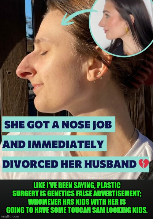 Funny | Like I've been saying, plastic surgery is genetics false advertisement; whomever has kids with her is going to have some toucan sam looking kids. | image tagged in funny,false advertising,genetics,plastic surgery,dating sucks,fugly | made w/ Imgflip meme maker
