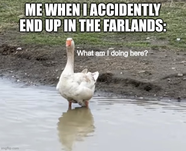 What am I doing here? | Me when I accidently end up in the Farlands: | image tagged in memes,lost,ducks | made w/ Imgflip meme maker