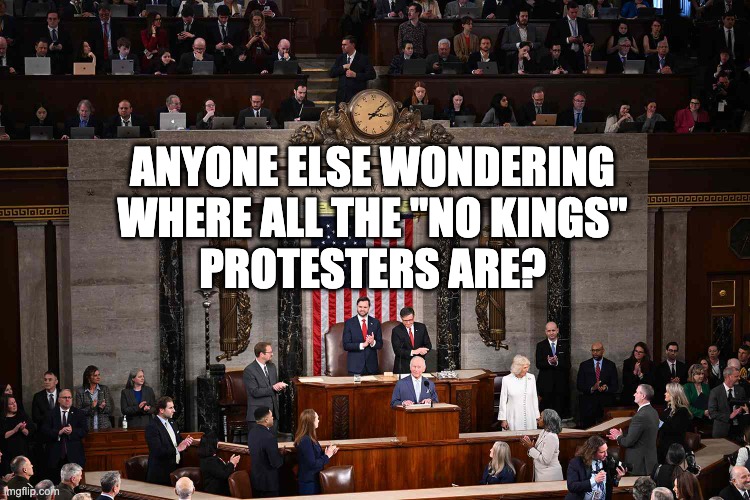 anyone else wondering
where all the "no kings"
protesters are? | made w/ Imgflip meme maker