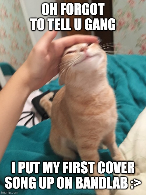 It's pretty shitty but eh | Oh forgot to tell u gang; I put my first cover song up on Bandlab :> | image tagged in cat pat | made w/ Imgflip meme maker