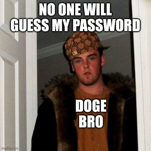 Not smart enough to expect the worst | No one will guess my password; DOGE BRO | image tagged in memes,scumbag steve,doge,elon musk,hacked,espionage | made w/ Imgflip meme maker