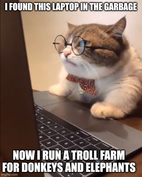 Opportunity is all around us | I found this laptop in the garbage; Now I run a troll farm for donkeys and elephants | image tagged in research cat,memes,land of opportunity,trolling,influencer,rags to riches | made w/ Imgflip meme maker