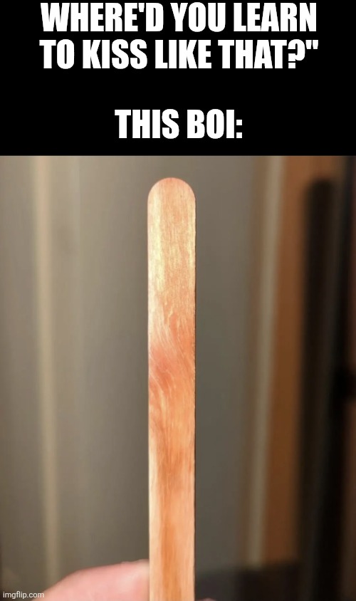 Single but thought of ts | Where'd you learn to kiss like that?"; This boi: | image tagged in funny,memes,relatable,popsicle,rizz | made w/ Imgflip meme maker