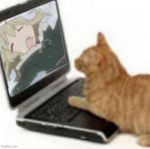 gato | made w/ Imgflip meme maker