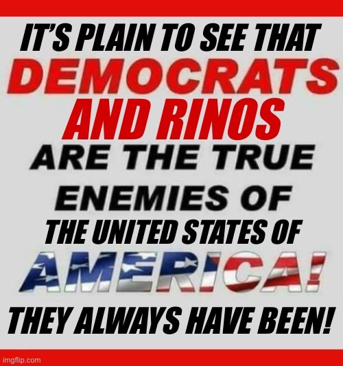 Two sides of the same treacherous/traitorous coin | It’s plain to see that; They always have been! | image tagged in political meme,democrats,rinos,true enemies,the usa,always have been | made w/ Imgflip meme maker