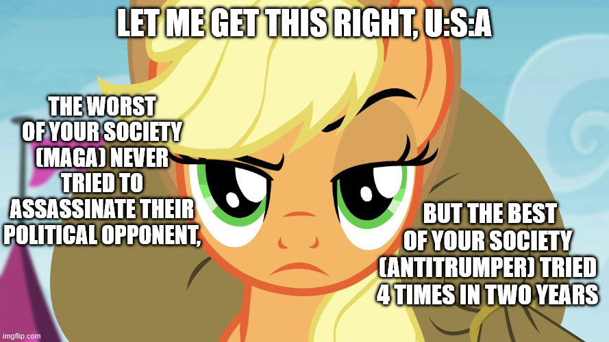 Applejack with eyebrow | Let me get this right, U:S:A; The worst of your society (MAGA) never tried to assassinate their political opponent, but the best of your society (ANTITRUMPER) tried 4 times in two years | image tagged in applejack with eyebrow,usa,political meme | made w/ Imgflip meme maker