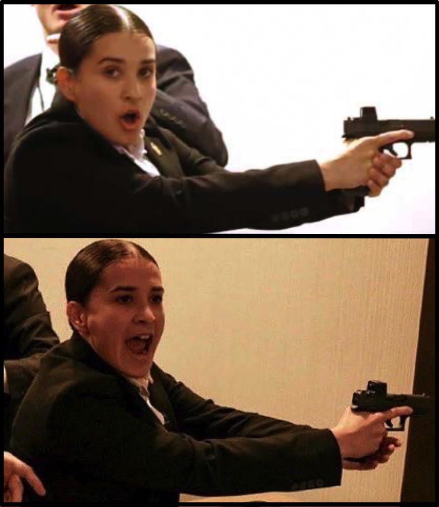 White House Correspondents' Dinner woman agent Blank Meme Template