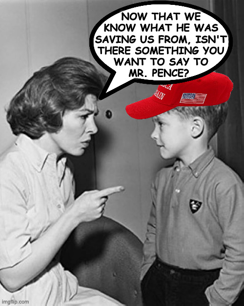 Well...? | now that we
know what he was
saving us from, isn't
there something you
want to say to
mr. pence? | image tagged in memes,maga,that nice mister pence | made w/ Imgflip meme maker