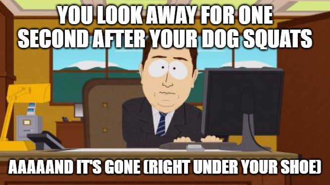 Aaaaand Its Gone Meme | YOU LOOK AWAY FOR ONE SECOND AFTER YOUR DOG SQUATS; AAAAAND IT'S GONE (RIGHT UNDER YOUR SHOE) | image tagged in memes,aaaaand its gone | made w/ Imgflip meme maker