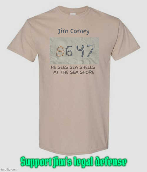 Jim Comey's Legal Defense Fund | Jim Comey; He sees sea shells 
at the sea shore; Support Jim's legal defense | image tagged in jim comey's legal defense fund,trump's attack on the judicial,snowflake trump,witch hunt,maga lawfare | made w/ Imgflip meme maker