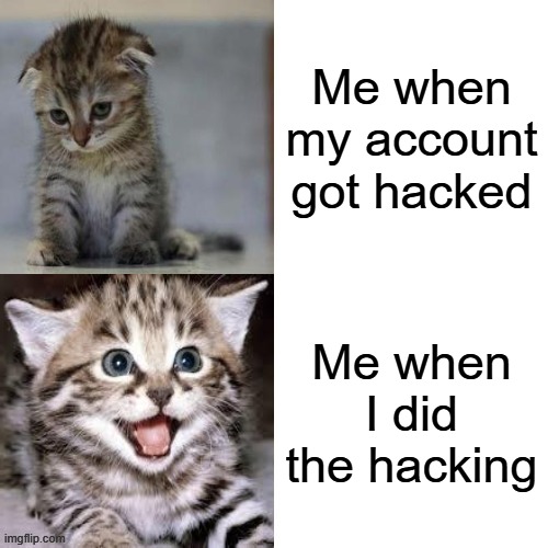 Sad Cat to Happy Cat | Me when my account got hacked; Me when I did the hacking | image tagged in sad cat to happy cat | made w/ Imgflip meme maker