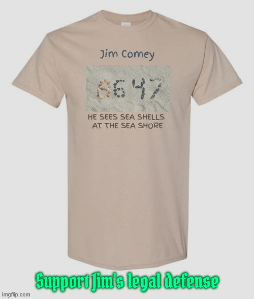 Jim Comey's Legal Defense Fund | image tagged in jim comey's legal defense fund,sea shells on the sea shore,trump's attack on the judicial,maga lawfare | made w/ Imgflip meme maker