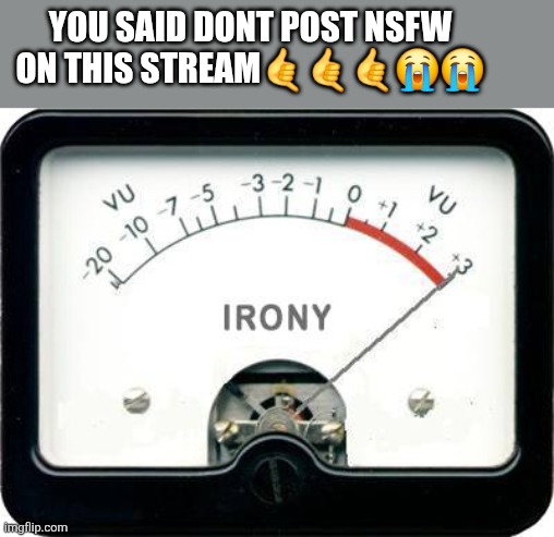 Irony Meter | You said dont post nsfw on this stream🤙🤙🤙😭😭 | made w/ Imgflip meme maker