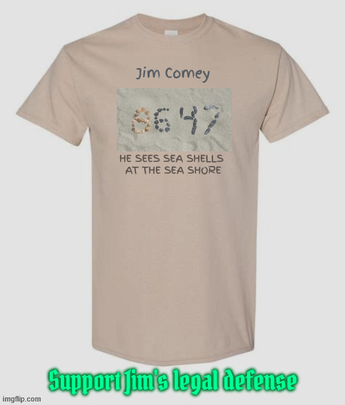 Comey selling Tees for legal defense | image tagged in comey selling tees for legal defense,he sees shells on the sea shore,trump's lawfare | made w/ Imgflip meme maker