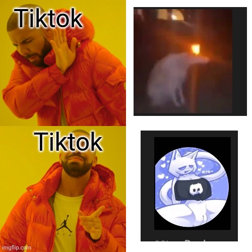 Drake Hotline Bling | Tiktok; Tiktok | image tagged in memes,drake hotline bling | made w/ Imgflip meme maker