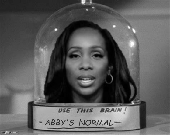 Abby's Normal | ABBY's  Normal | image tagged in abby's normal,cnn,news night,dnn | made w/ Imgflip meme maker