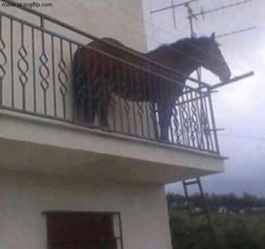 Juan | image tagged in juan | made w/ Imgflip meme maker