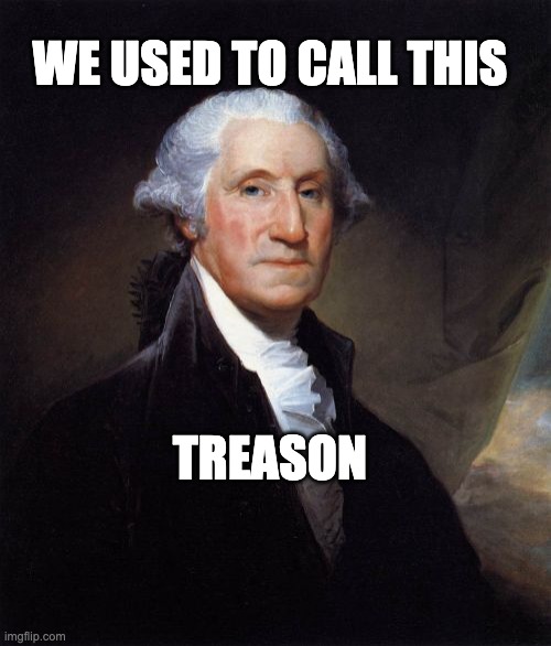 George Washington | We used to call this; treason | image tagged in memes,george washington | made w/ Imgflip meme maker