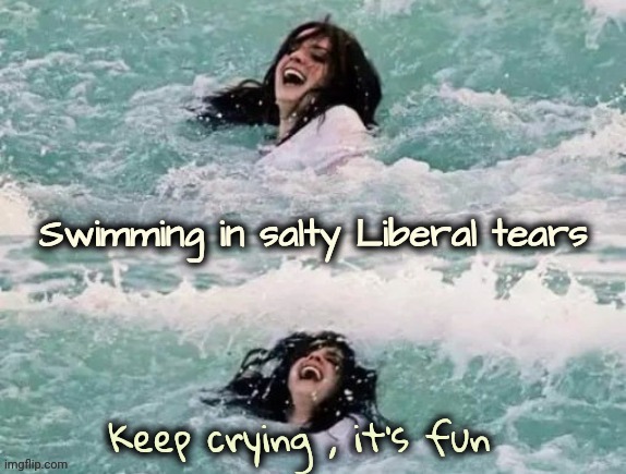 Keep crying , it's fun | image tagged in maga is fun | made w/ Imgflip meme maker